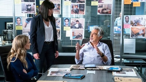 Esprits criminels Saison 14 Épisode 9