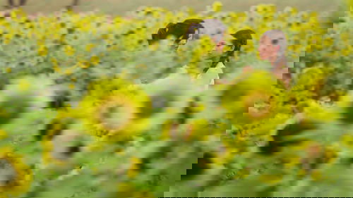 Beleza Fatal Saison 1 Épisode 1
