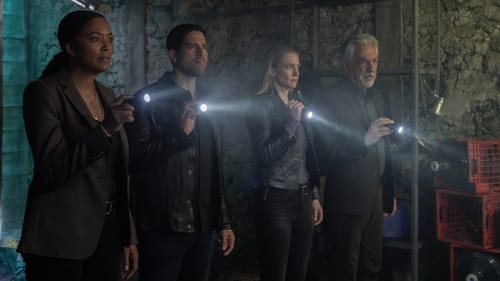 Esprits criminels Saison 17 Épisode 9