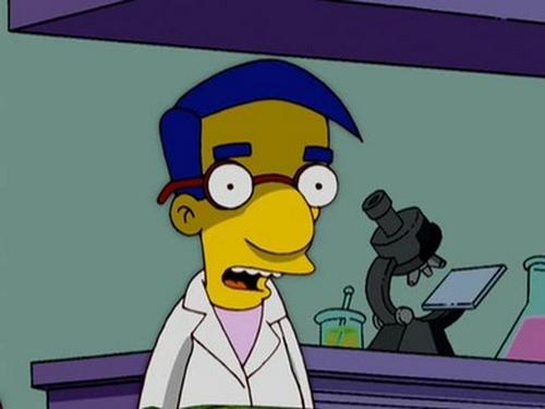 Les Simpson Saison 18 Épisode 11