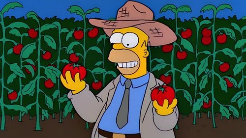 Les Simpson Saison 11 Épisode 5