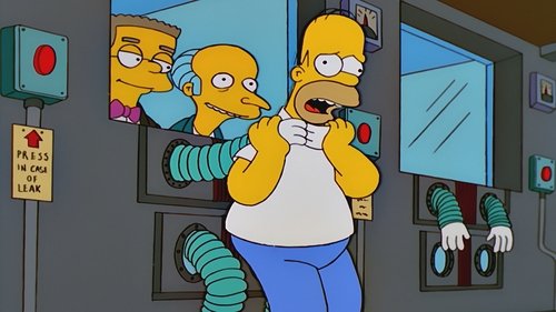 Les Simpson Saison 11 Épisode 6