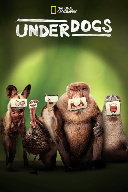 Les outsiders du monde animal