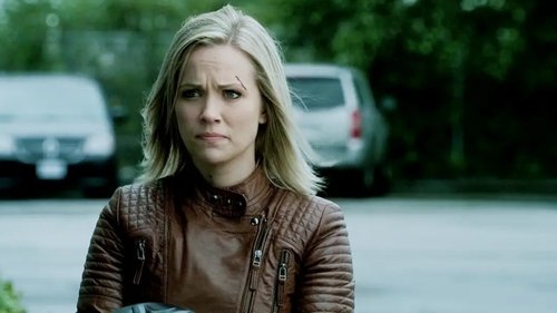 True Justice Saison 2 Épisode 13