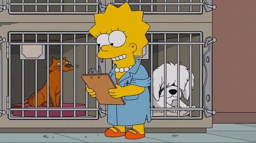 Les Simpson Saison 27 Épisode 15