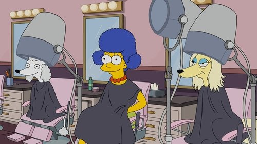 Les Simpson Saison 28 Épisode 22