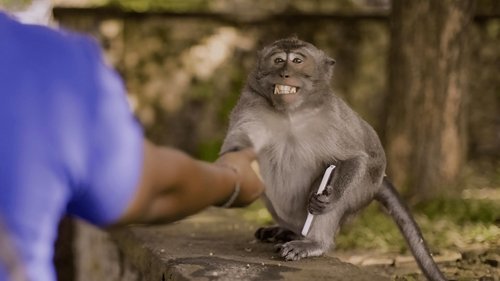 Les outsiders du monde animal Saison 1 Épisode 4