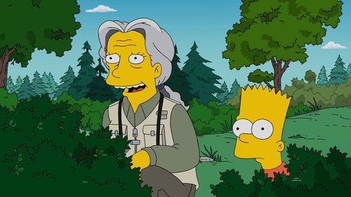 Les Simpson Saison 28 Épisode 20